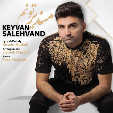 Keyvan Salehvand – Mandire Tonom
